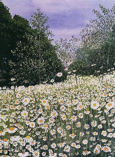Marguerites