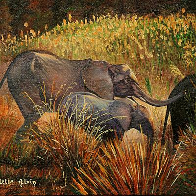 Eléphants en famille