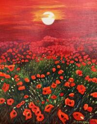 Coquelicots au clair de lune