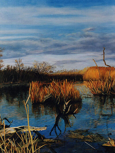 Blues sur la Camargue